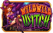 Wild Wild Witch
